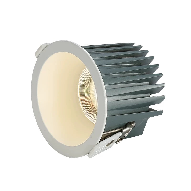 Waterproof LED Downlight IP65 for Bathroom – Modern Ceiling Lighting
