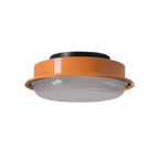 Full Spectrum Flush Mount Ceiling Light CRI97 3 Color Dimmable