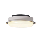 Full Spectrum Flush Mount Ceiling Light CRI97 3 Color Dimmable