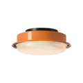 Full Spectrum Flush Mount Ceiling Light CRI97 3 Color Dimmable