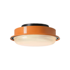 Full Spectrum Flush Mount Ceiling Light CRI97 3 Color Dimmable