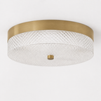 Modern Brass LED Ceiling Light with Remote Control
