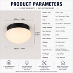 Farmhouse Glass Surface Mount Ceiling Light