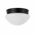 Farmhouse Glass Surface Mount Ceiling Light