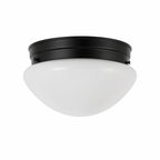 Farmhouse Glass Surface Mount Ceiling Light